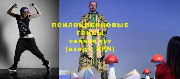 амф Алзамай