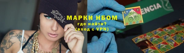 амф Алзамай