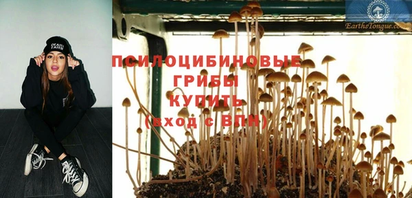 амф Алзамай