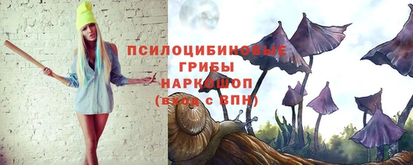 амф Алзамай