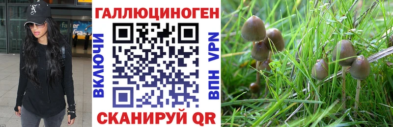 купить наркоту  Оханск  Псилоцибиновые грибы ЛСД 